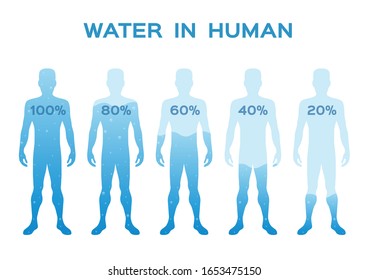 4,058 Human Body Hydration Images, Stock Photos & Vectors | Shutterstock