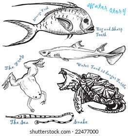 the water life collection 1