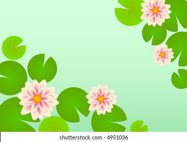 Water lilies