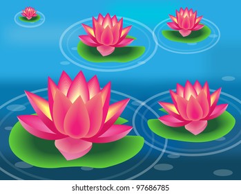 Water lilies and flowers