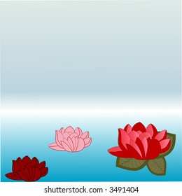 water lilies vector