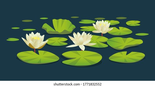 Water lilies. Vector cartoon illustration