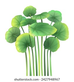 Water Lilly or lotus leaves vertical composition for wallpaper or card. Greean water plant leaves on white background, isolated botanical elements. Vector clip art illustration in watercolor style.