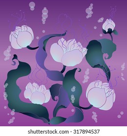 water lily
