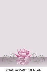 Water lily