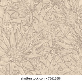 Water Lily Background