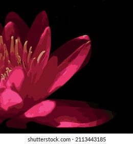 Water lily with black copy space. It can be used for any kind of project where you need to scale up this artwork at any size. 