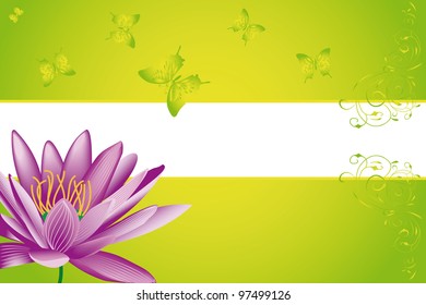  water lily and butterfly on green background