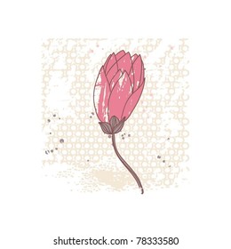 water lily card