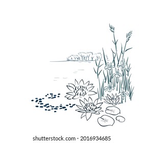 water lily card nature landscape view landscape card vector sketch illustration japanese chinese oriental line
