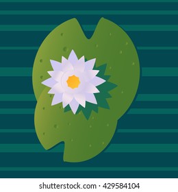 Water lily flat style vector.