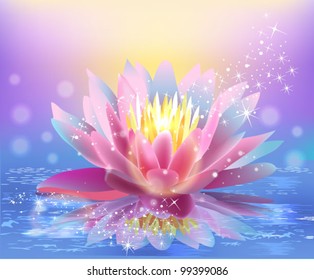 water lily floating on the water