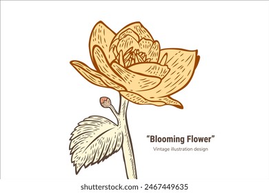 water lily flower drawing, July birth flower tattoo. hand drawing. vintage style blooming flower. vector illustration design. Printable trendy botanical card. Use for cover, wallpaper, wall art