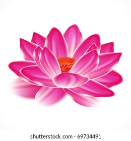 Flor de nenúfar en el agua, elemento aislado de tu diseño de spa.