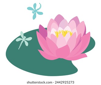 Water lily flower, pink, leaf green, summer pond, flying dragonflies, vector illustration isolated on white