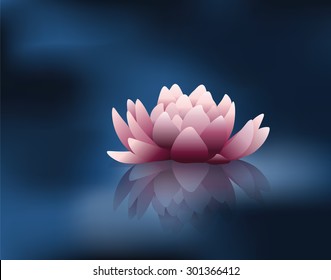 Water lily flower with reflection. Vector 