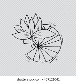 Water lily flower. Sketchy style.