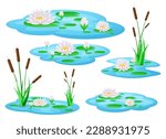 Water lily flower vector design illustration isolated on background