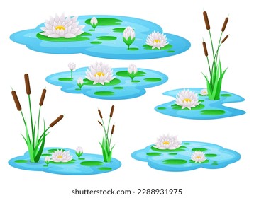 Ilustración de diseño de vectores de flores de lirio de agua aislada en el fondo