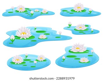 Water lily flower vector design illustration isolated on background