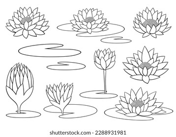 Ilustración de diseño de vectores de flores de lirio de agua aislada en el fondo