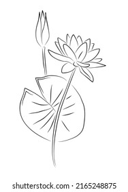 Water Lily Flowers Line Art Vector Illustration. Monochrome Hand Drawn Black Ink Sketch Isolated On White Background.