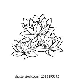 water lily flowers line art white background