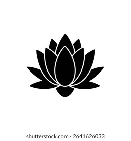 Water Lily Fully Opened on Pond Surface