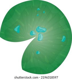 Water lily green pond leaf top view