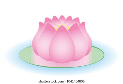 Water lily. Half opened pink feminine water symbol for tranquility, beauty, calmness and serenity - isolated vector illustration on white background. 