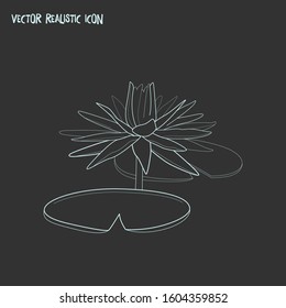 Water lily icon line element. Vector illustration of water lily icon line isolated on clean background for your web mobile app logo design.