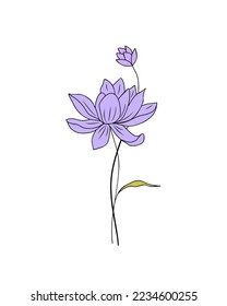 Water Lily - July birth month flower colorful vector illustration. Hand drawn design for tattoo, logo, cards, invitations. Colored outline sketch drawing Isolated on white background.