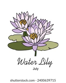 Water Lily, July birth month flower vector art.