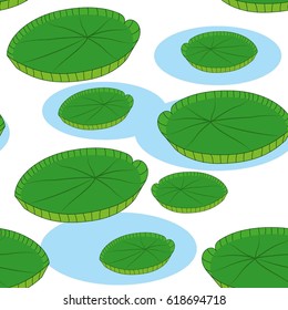 Water lily leaf on blue water