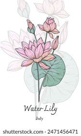 Water Lily Line Art. Water Lily flower vector Illustration. July Birth Month Flower. Water Lily outline isolated on white. Hand drawn line art botanical illustration.