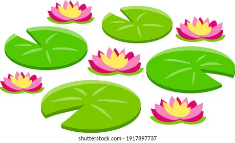 Water lily or lotus. Plant on lake and pond. Big green leaf. Element of nature, forest and wild life. Swamp Pink flowers. Flat cartoon. Nenuphars.