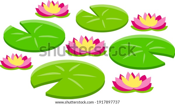 Water lily or lotus. Plant on lake and pond.\
Big green leaf. Element of nature, forest and wild life. Swamp Pink\
flowers. Flat cartoon.\
Nenuphars.