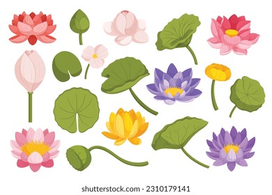 Water Lily And Lotus Set. Collection Of Stunning Water Lily And Lotus Flowers And Leaves, Showcasing Their Elegance And Beauty In Various Colors And Intricate Details. Cartoon Vector Illustration