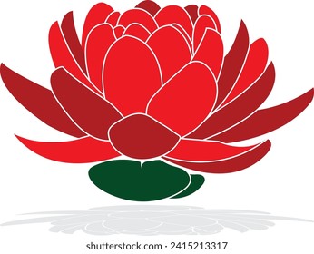 Water Lily, The national flower of Bangladesh, shapla flower
