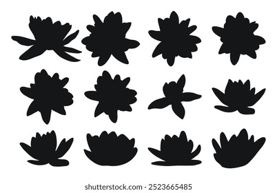 Water lily, nenuphar, spatter dock, plant buds silhouette