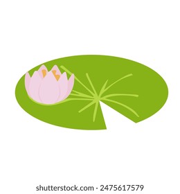 Seerose auf einem Blatt. Vektorillustration auf weißem Hintergrund