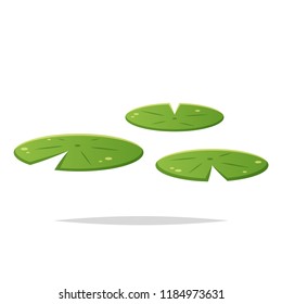 Water Lily Pad Vector Isolated