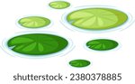 Water Lily Pads Vector illustration