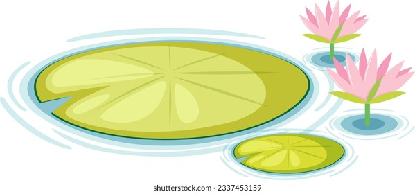 Water Lily Pads Vector illustration