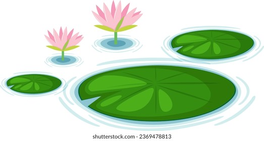 Water Lily Pads Vector illustration