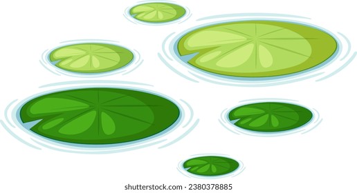 Water Lily Pads Vector illustration