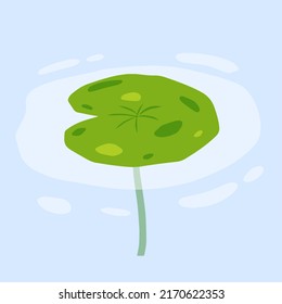 Water lily in pond. River plant. Green leaves on water. Nature of swamp, scenery of lake. Flat cartoon