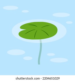 Water lily in pond. River plant. Green leaves on water. Nature of swamp, scenery of lake. Flat cartoon