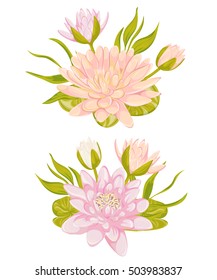 Water lily set. Collection decorative design elements for wedding invitations and birthday cards. Flowers, leaves and buds. Vintage hand drawn vector illustration in watercolor style. 