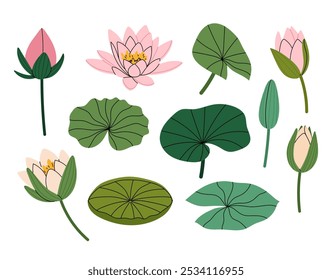 Lírio de água. Definir ilustrações vetoriais flor lírio elegante. Buds e folhas de lótus ou lírio-d'água. Para impressões de verão, convites, cartões, cartazes.